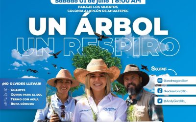 Convoca diputada Andy Gordillo a sembrar vida en Cuernavaca