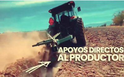 En el Congreso de Morelos, el campo es primero