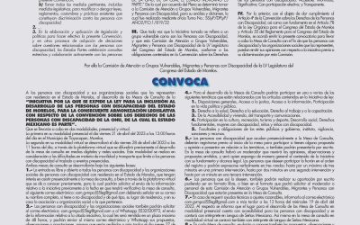 Convocatoria para la Iniciativa de Ley para la Inclusión al Desarrollo de las Personas con Discapacidad