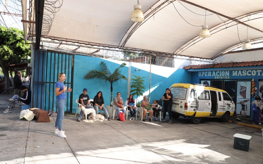 Refuerza diputada Andy Gordillo campaña de esterilización gratuita en Morelos