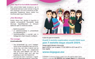 Convocatoria para participar como observadora u observador electoral en el proceso electoral local 2023-2024, versión en náhuatl