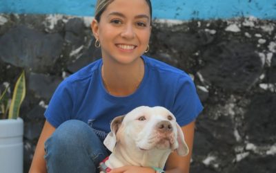 Promueve diputada Andy Gordillo regular la venta de animales domésticos en vía pública y la tenencia responsable a través de reformas a la Ley de Fauna