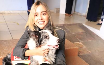 Garantiza diputada Andy Gordillo derechos y protección a perros guía y animales de servicio