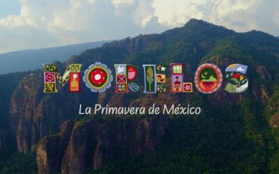 Turismo será motor de pacificación y desarrollo en Morelos, asegura el diputado Francisco Sánchez Zavala