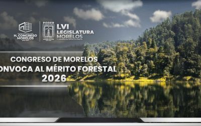 Congreso de Morelos convoca al Reconocimiento al Mérito Forestal 2026