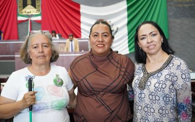Propone Jazmín Solonano reformas para incluir los bastones blanco y verde en beneficio de la discapacidad visual