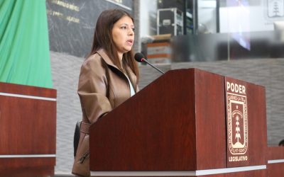 Impulsa diputada Eleonor Martínez Gómez atención digna y diferenciada para mujeres en casos de muerte perinatal