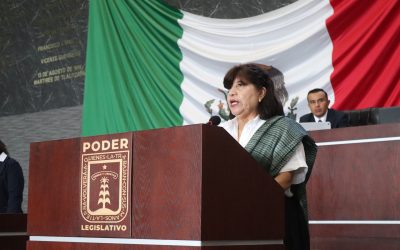 Propone diputada Guillermina Maya Rendón fortalecer ma profesionalización y legalidad en los gobiernos municipales