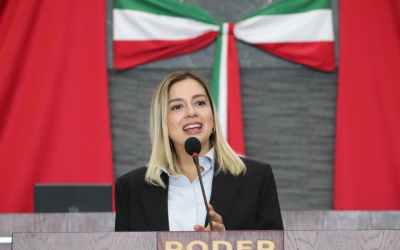 Presenta diputada Andrea Gordillo iniciativa para evitar la violencia obstétrica